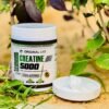 كرياتين اوريجينال لاب ٣٠٠ جرام ٦٠ سكوب creatine 5000 original lab 300 gm 60 serv